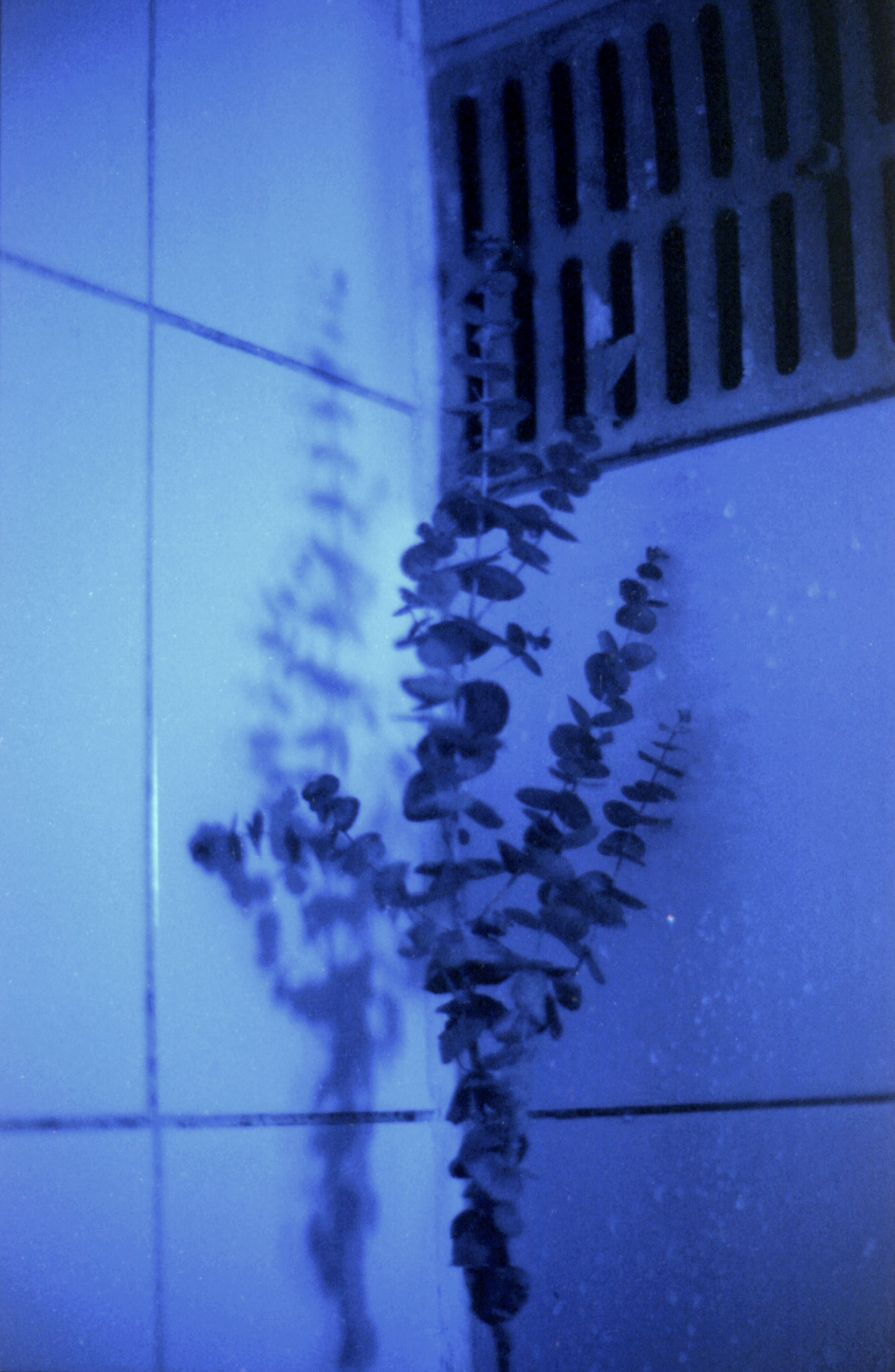 연약한 구름 — 4