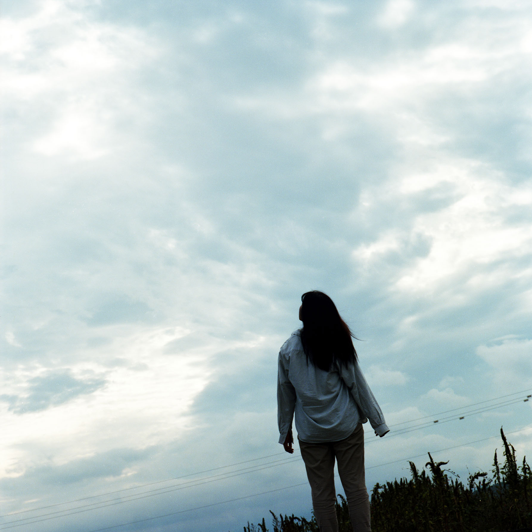 높새 — 4