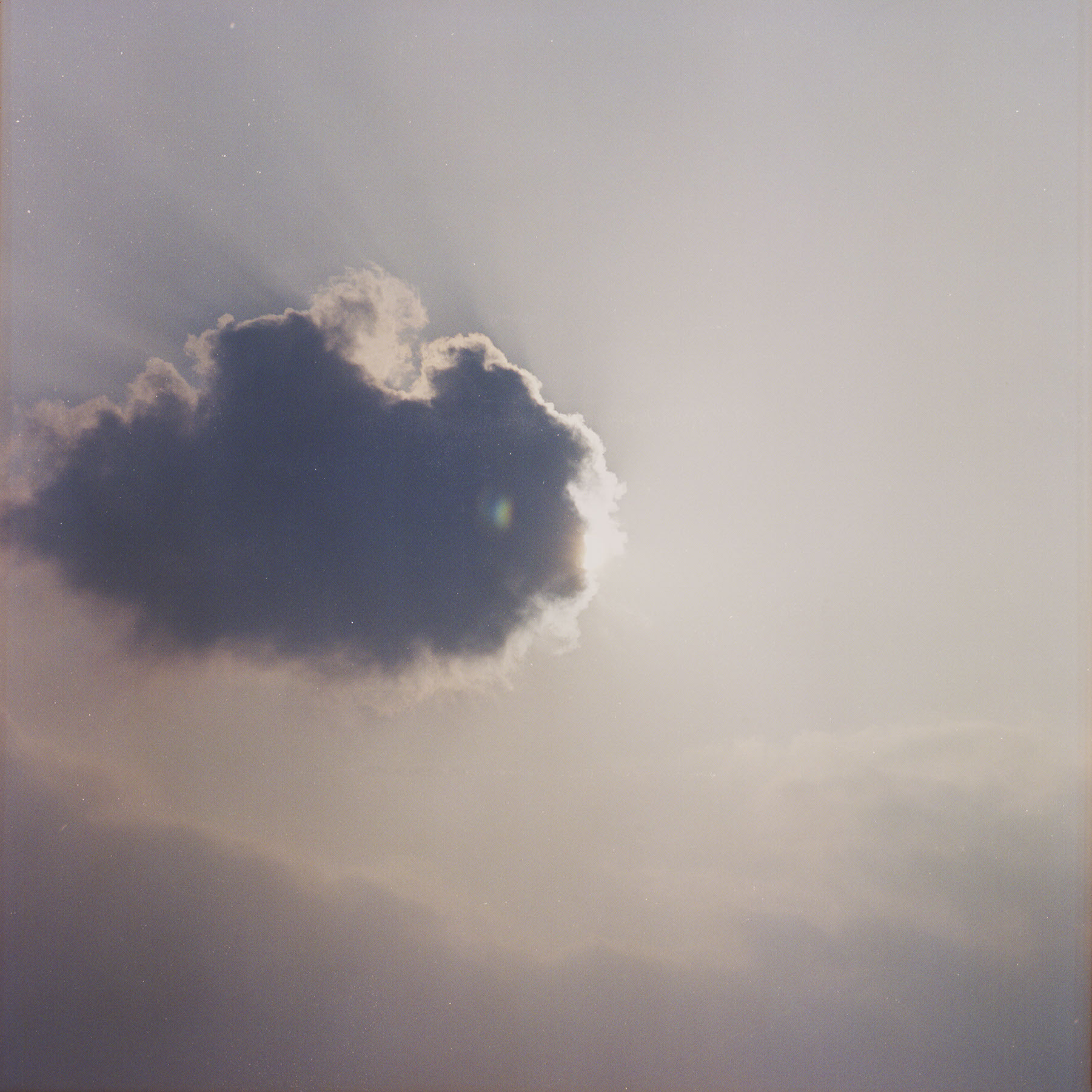 높새 — 5