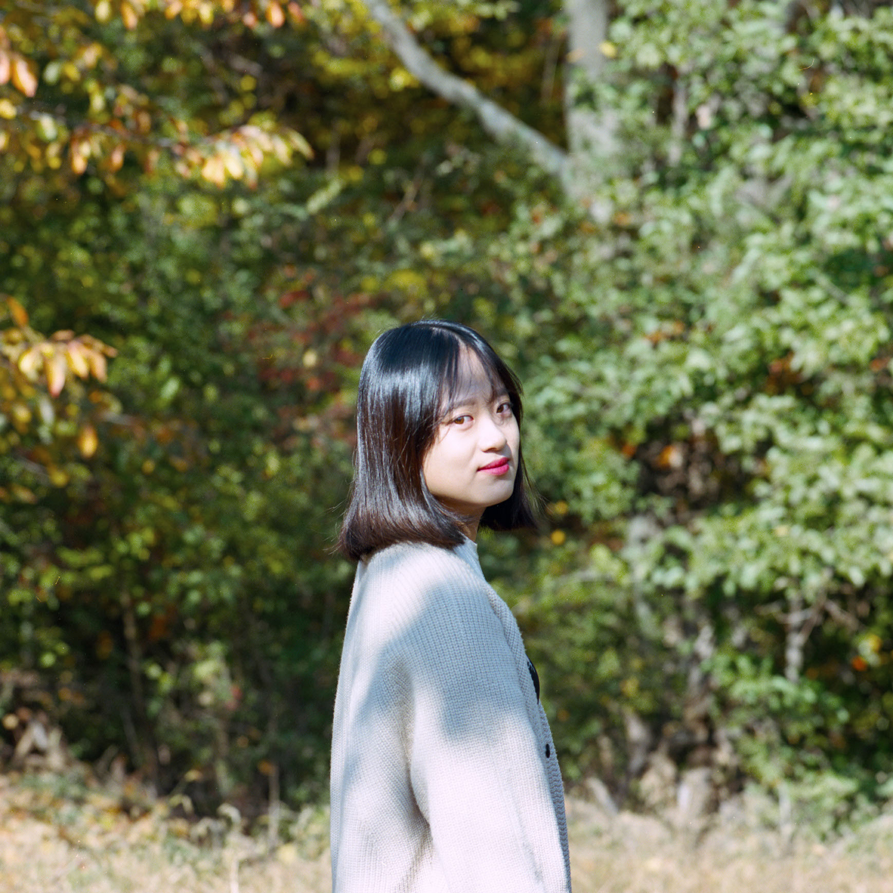 높새 — 10