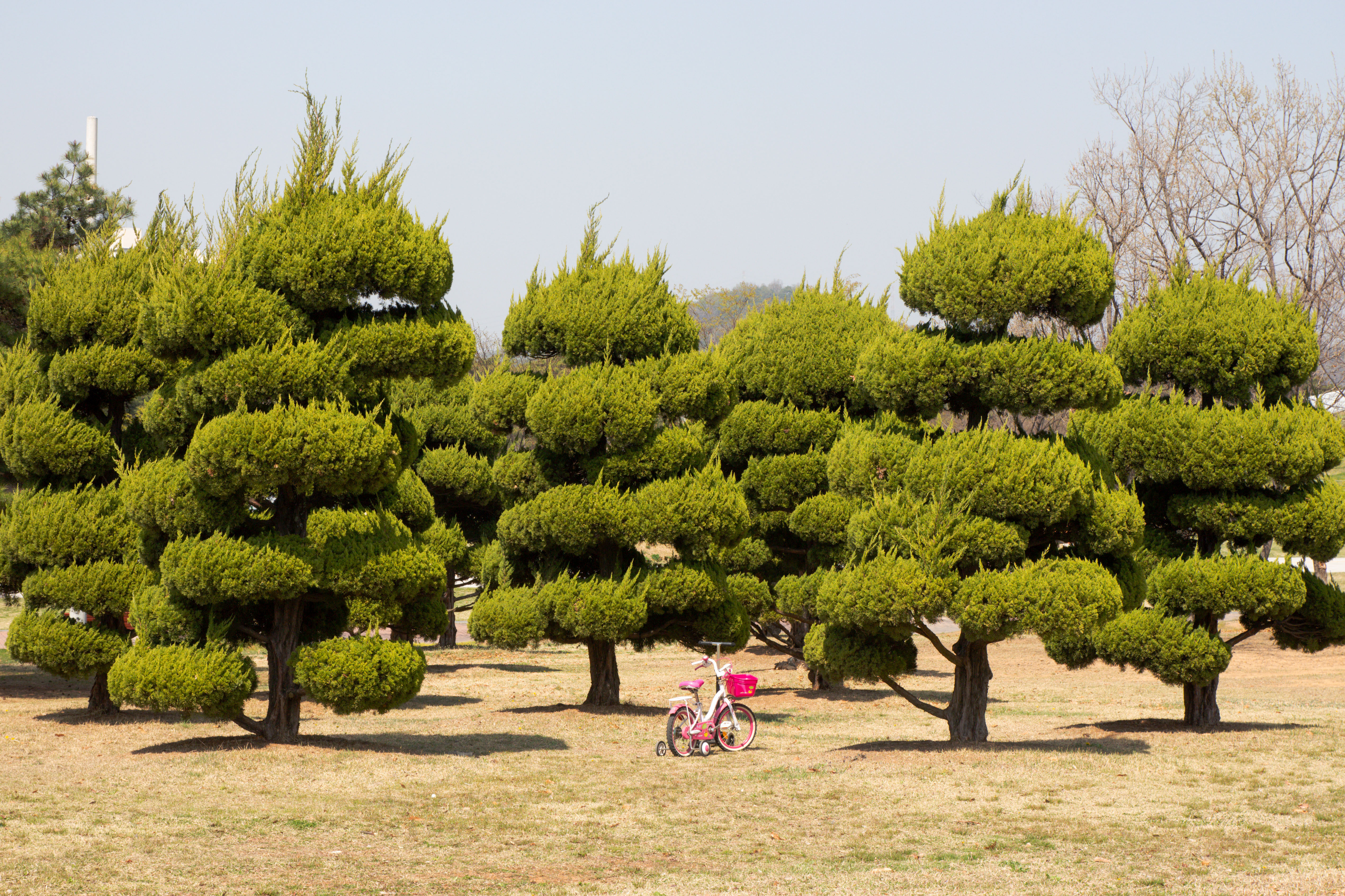 더불어 숲 — 2