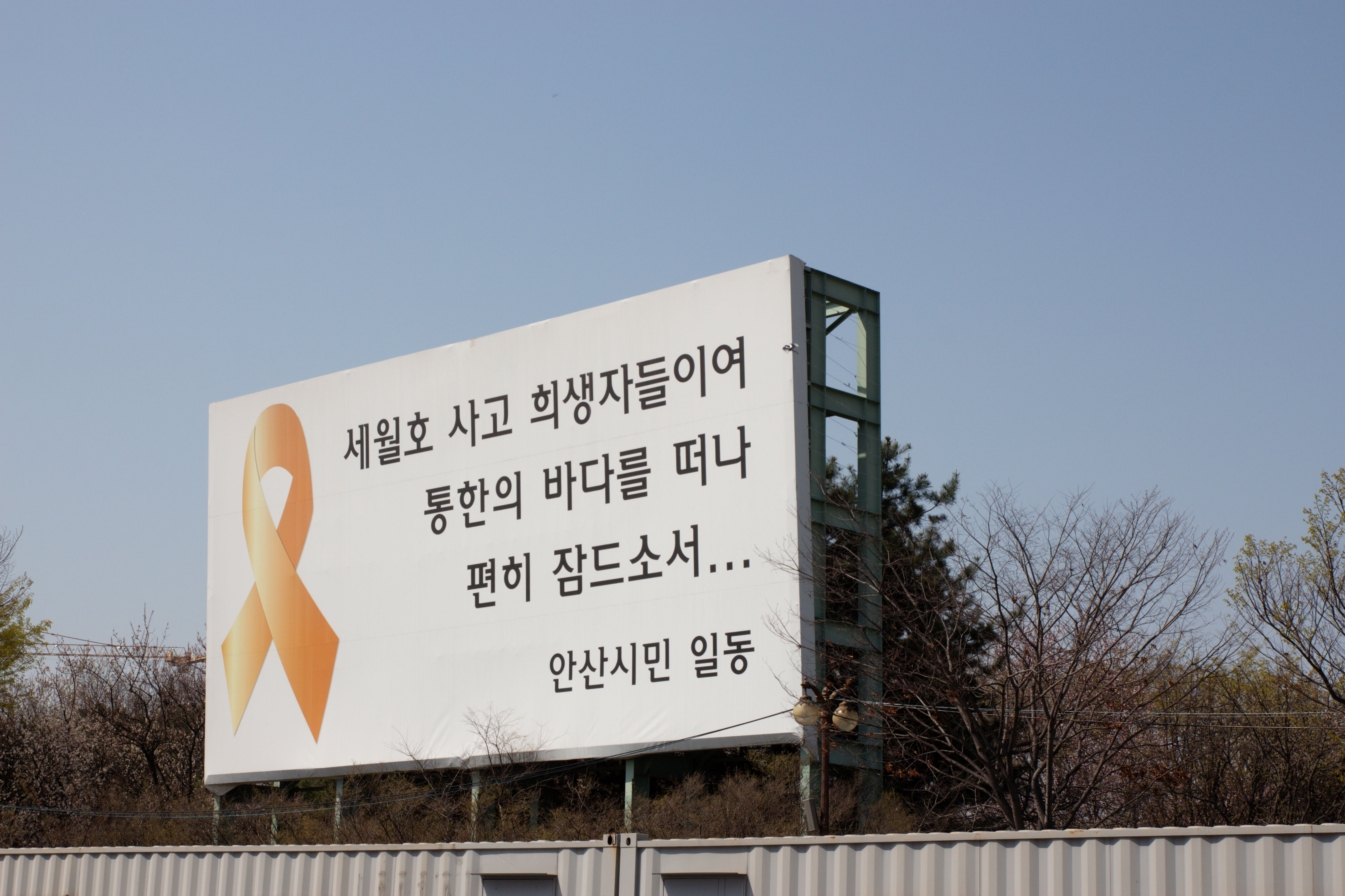 더불어 숲 — 3