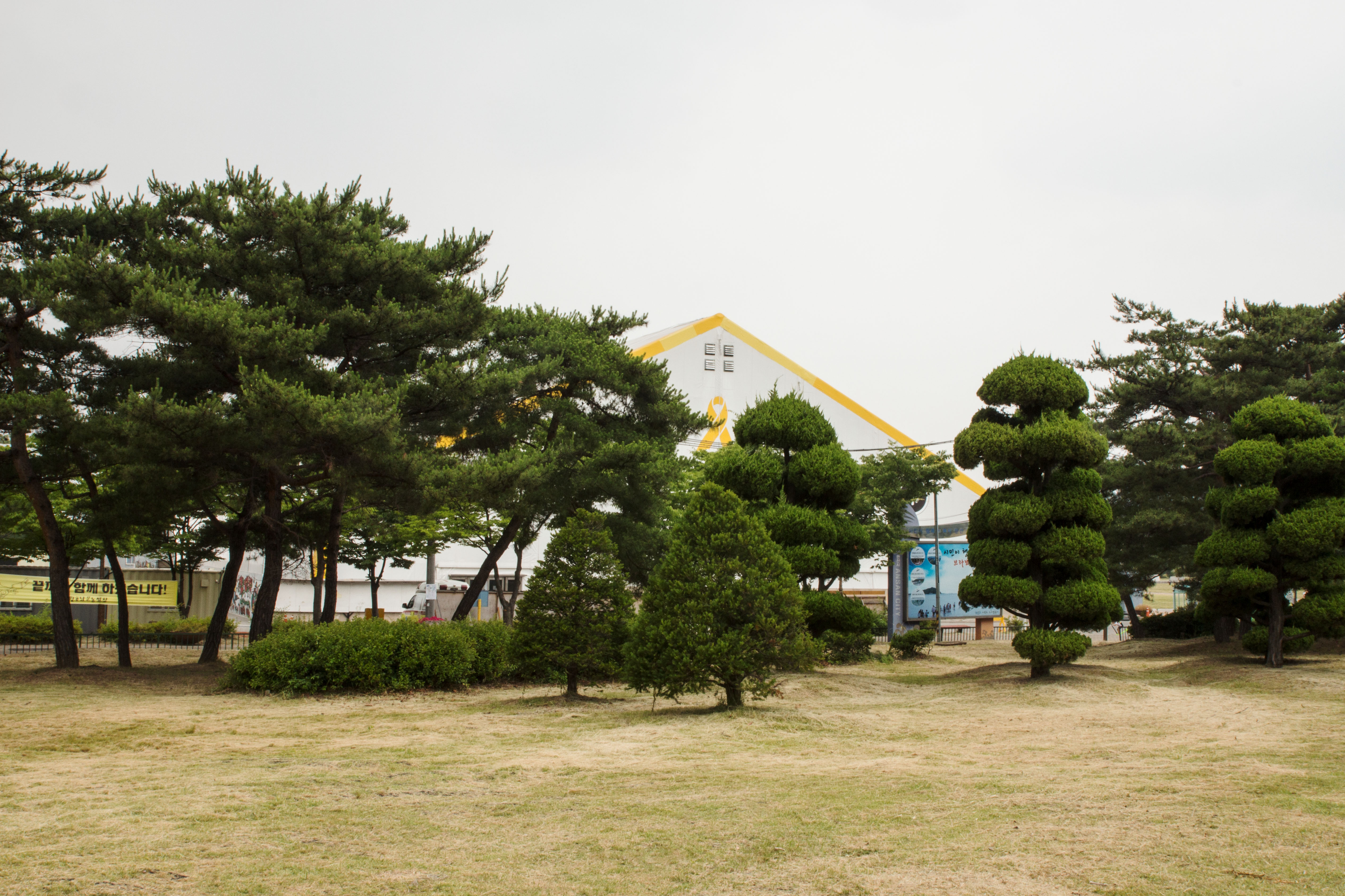 더불어 숲 — 13